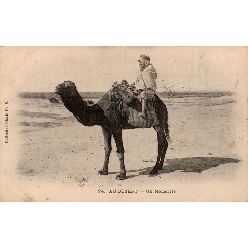 Au Désert un Méhariste Algérie carte postale ancienne CPA circulée 1905 Ideales PS numéro 24