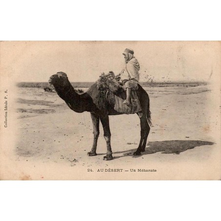 Au Désert un Méhariste Algérie carte postale ancienne CPA circulée 1905 Ideales PS numéro 24