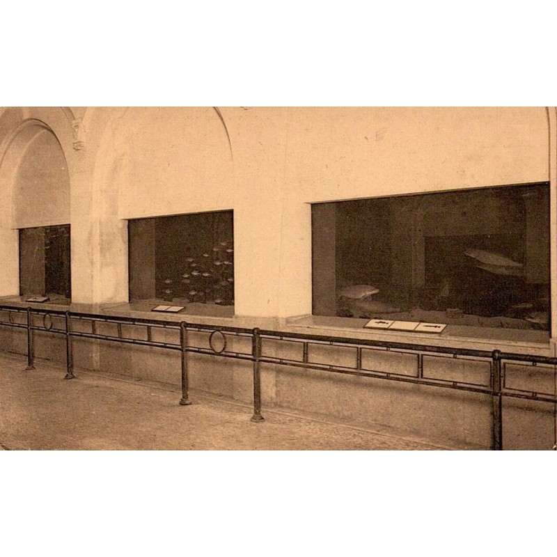 Carte postale ancienne de l'aquarium du Jardin Zoologique d'Anvers montrant les bassins, éditée par Ém. Trill Bruxelles.