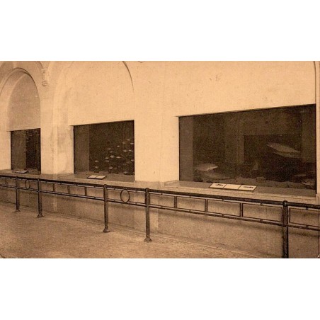 Carte postale ancienne de l'aquarium du Jardin Zoologique d'Anvers montrant les bassins, éditée par Ém. Trill Bruxelles.