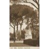 Rome Villa Medici groupe de pins carte postale ancienne CPA n°1270 Italie