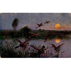 Carte postale ancienne illustrée de canards sauvages au clair de lune sur un étang