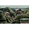 Carte postale semi-moderne illustrée de Schönau im Schwarzwald montrant le Belchengebiet en vue aérienne avec carte panoramique.