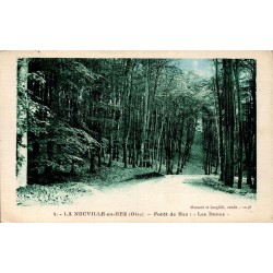 Carte postale ancienne de La Neuville-en-Hez, forêt de Hez, lieu-dit Les Dunes.
