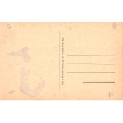 Carte postale ancienne Chartres Cathédrale Portail Royal