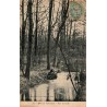 Carte postale ancienne du Bois de Vincennes montrant une cascade et un ruisseau dans un paysage boisé