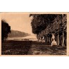 Carte postale ancienne du Tapis Vert et du Bassin d'Apollon à Versailles.